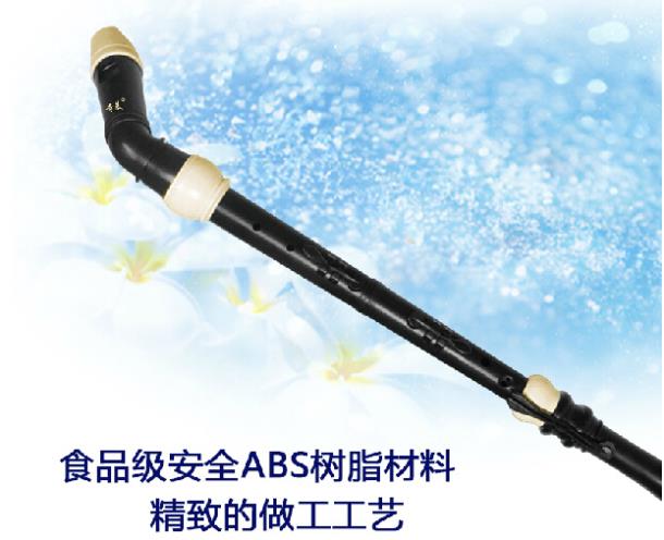 プロフェッショナル 8 穴バロック低音樹脂クラリネット中国フ - Musical Instrument Recorder のレビューと価格