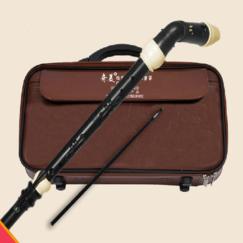 プロフェッショナル 8 穴バロック低音樹脂クラリネット中国フ - Musical Instrument Recorder のレビューと価格