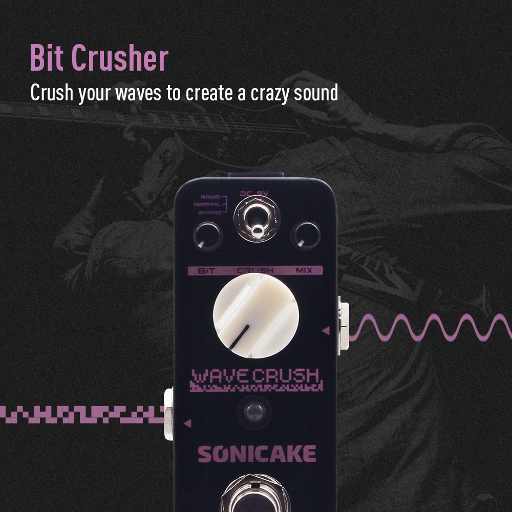 SONICAKE ローカル ウェーブ クラッシュ ビットクラ - Musical Instrument Synthesizer のレビューと価格